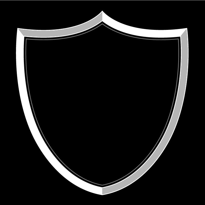 Skull Raider (Vector Art)